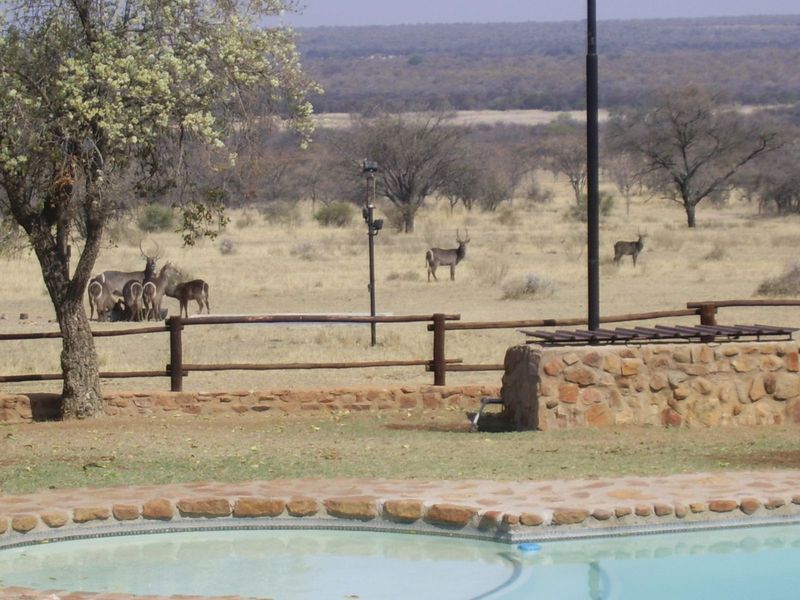 Farm For Sale in Buffelsdoorns AH - Photo 10