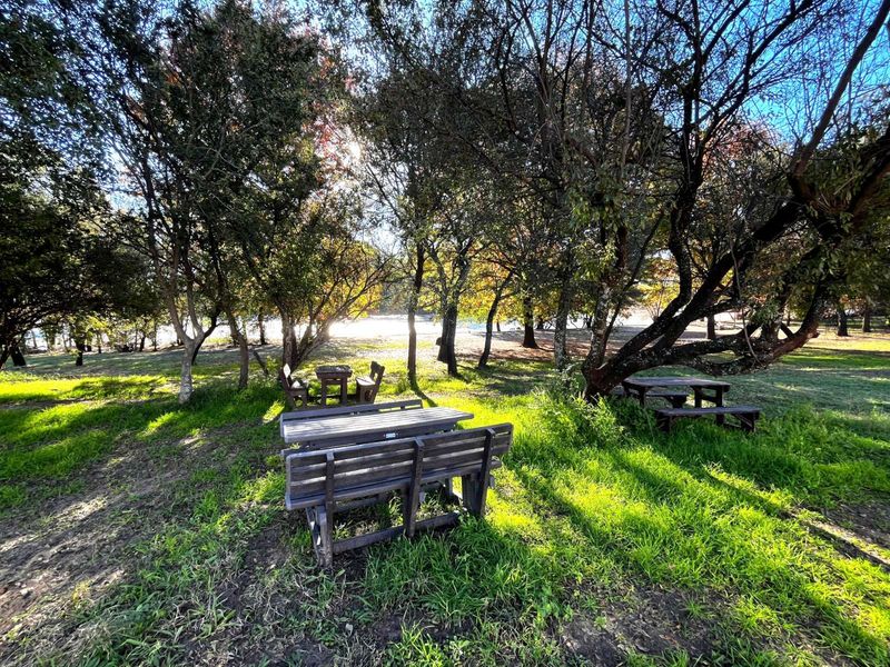 Farm For Sale in Parys Central - Photo 7