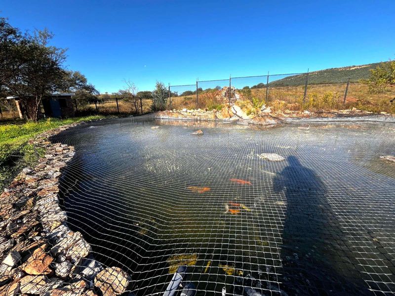 Farm For Sale in Parys Central - Photo 6