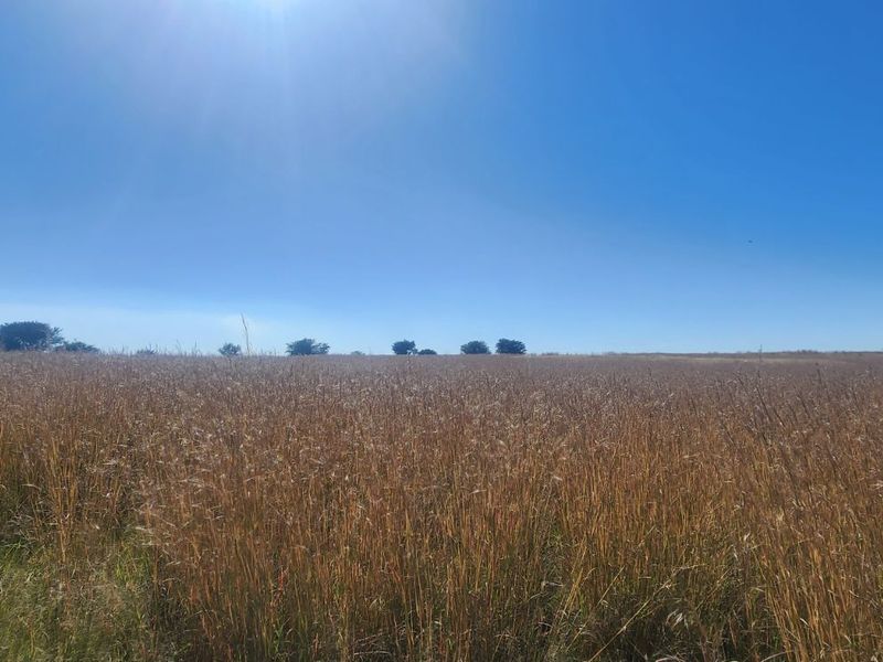 Vacant Land Residential For Sale in Vaal Marina Central - Photo 7