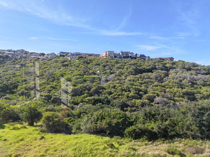 House For Sale in Dana Bay - Photo 4