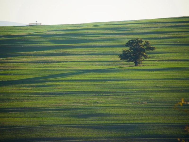 Vacant Land Residential For Sale in Mount Royal Golf Estate - Photo 6