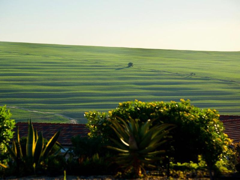 Vacant Land Residential For Sale in Mount Royal Golf Estate - Photo 10