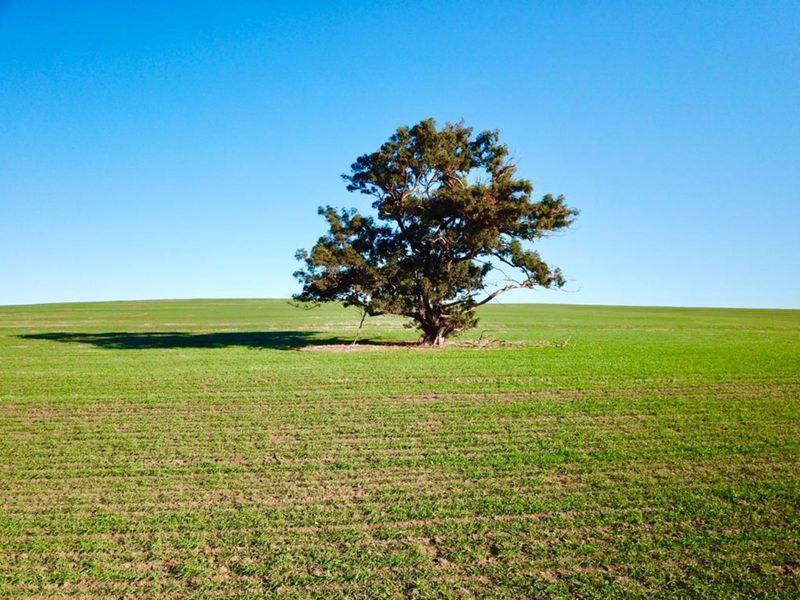 Vacant Land Residential For Sale in Mount Royal Golf Estate - Photo 9