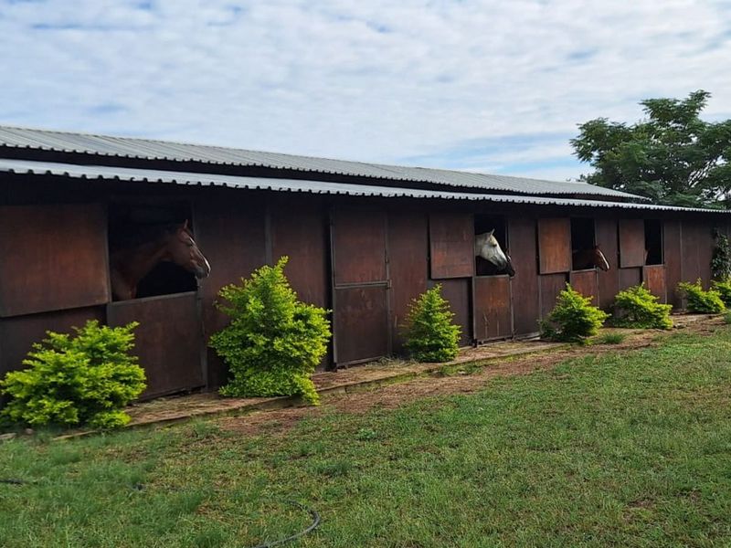 Farm For Sale in Pretoria North - Photo 3