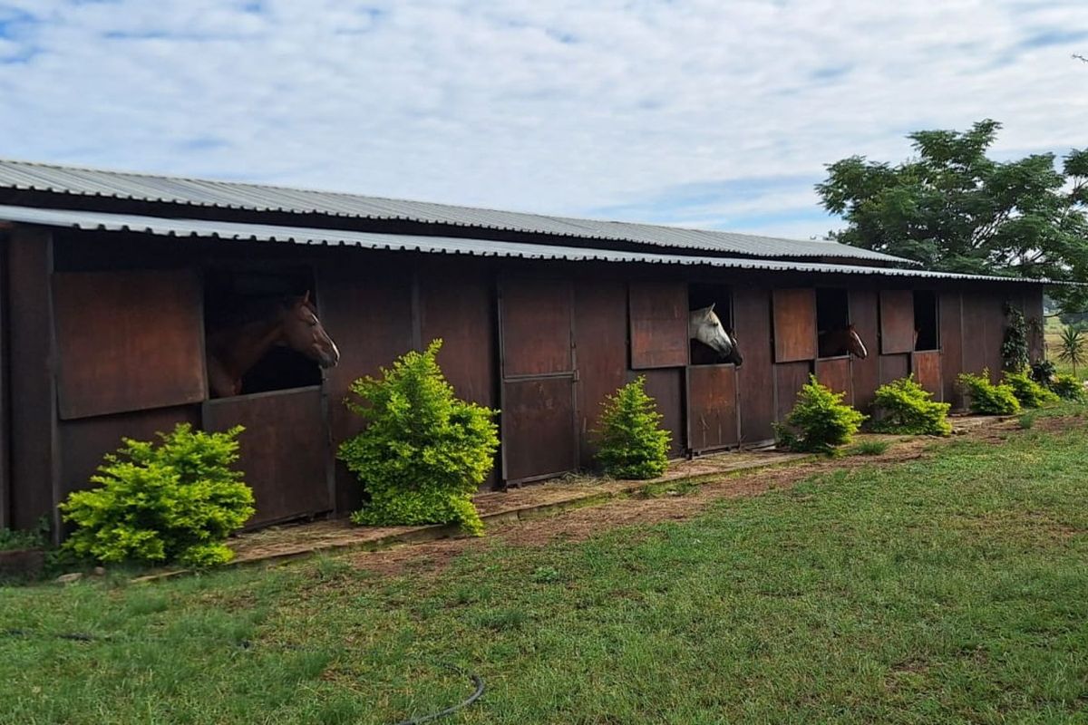 Farm For Sale in Pretoria North - Photo 3