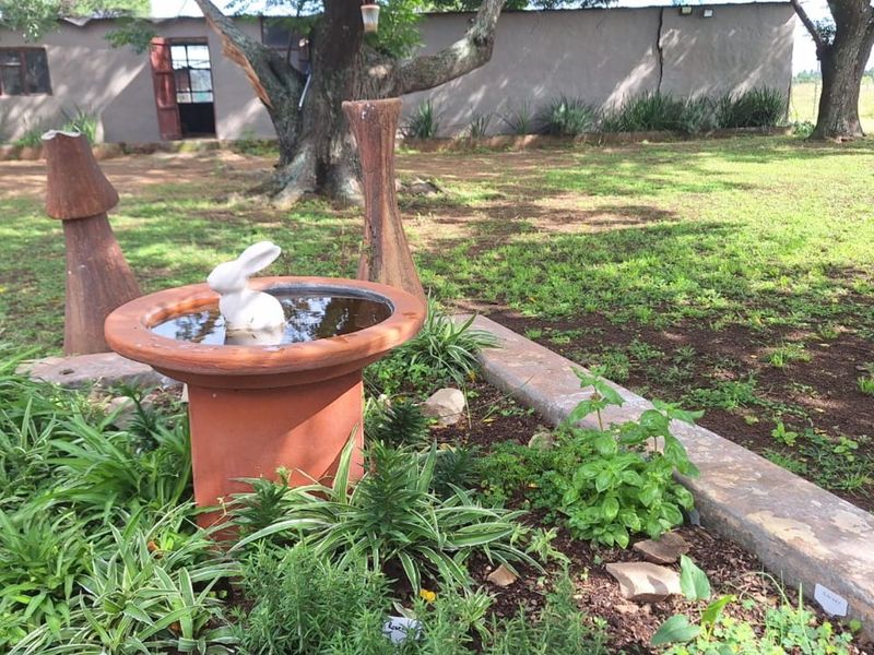 Farm For Sale in Pretoria North - Photo 10