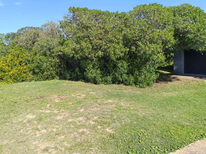 House For Sale in Gouritsmond Central - Photo 10