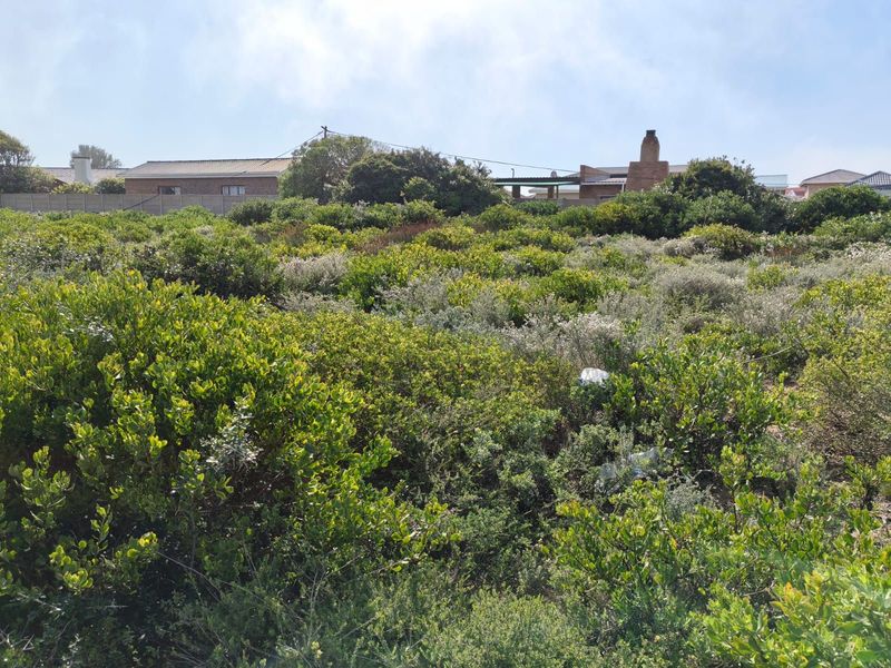 Vacant Land Residential For Sale in Gouritsmond Central - Photo 2