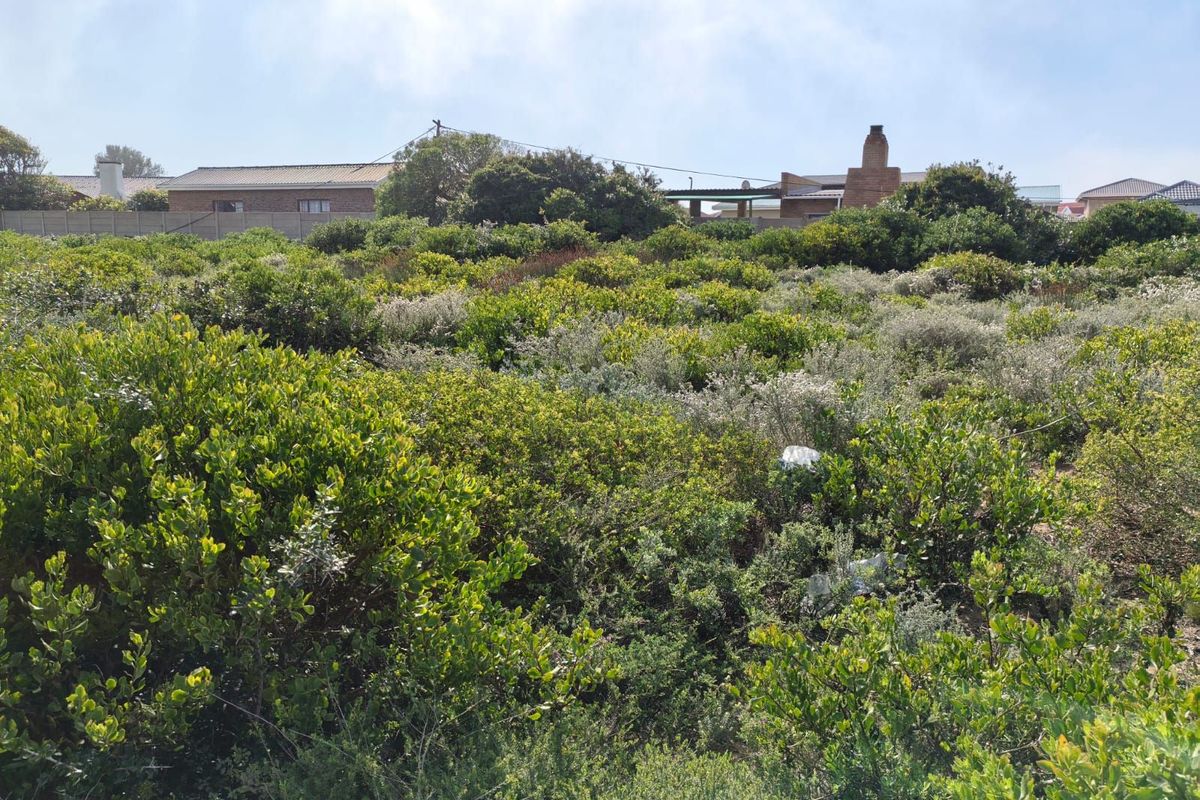 Vacant Land Residential For Sale in Gouritsmond Central - Photo 2