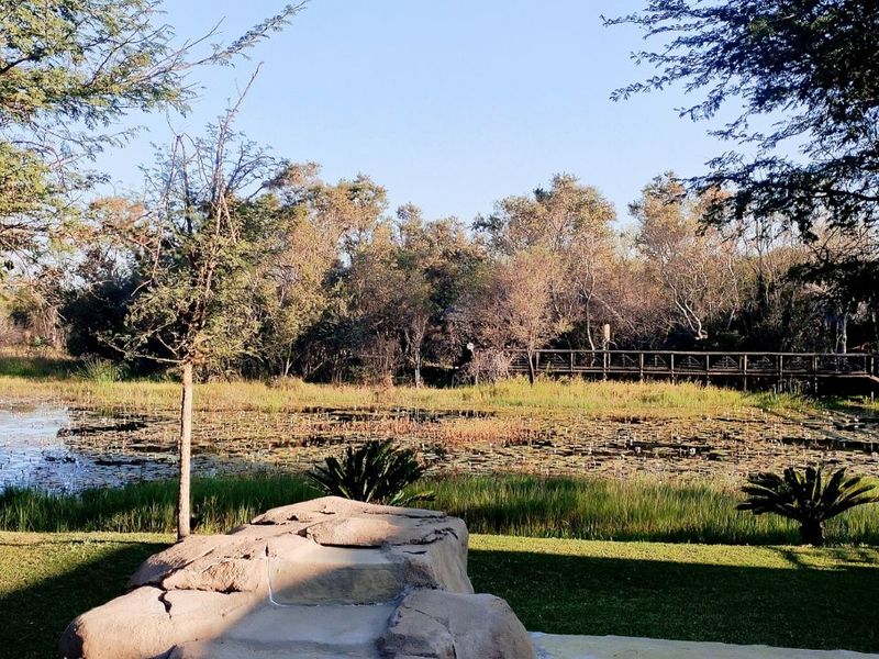 Farm For Sale in Vaalwater Central - Photo 9