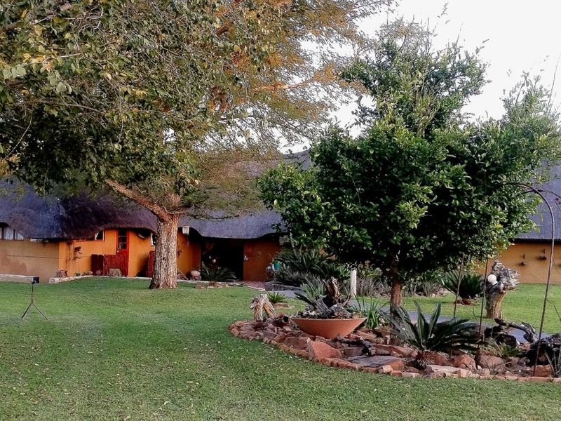 Farm For Sale in Vaalwater Central - Photo 3