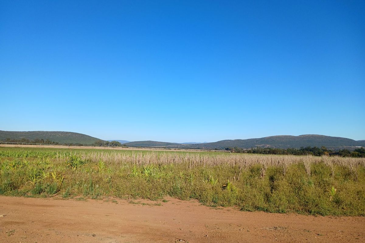Farm For Sale in Modimolle Rural - Photo 3