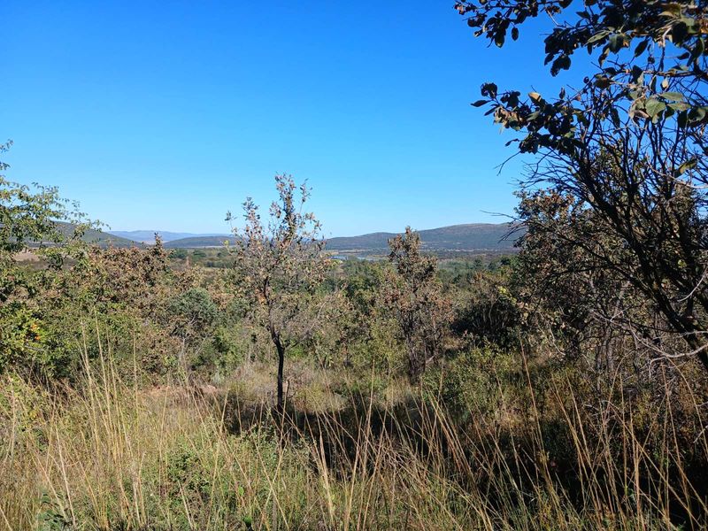 Farm For Sale in Modimolle Rural - Photo 8