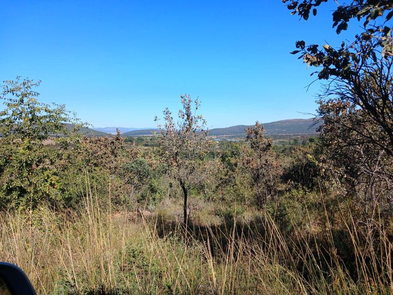 Farm For Sale in Modimolle Rural - Photo 7
