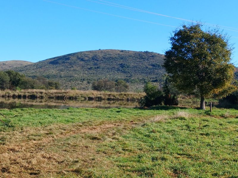 Farm For Sale in Modimolle Rural - Photo 10