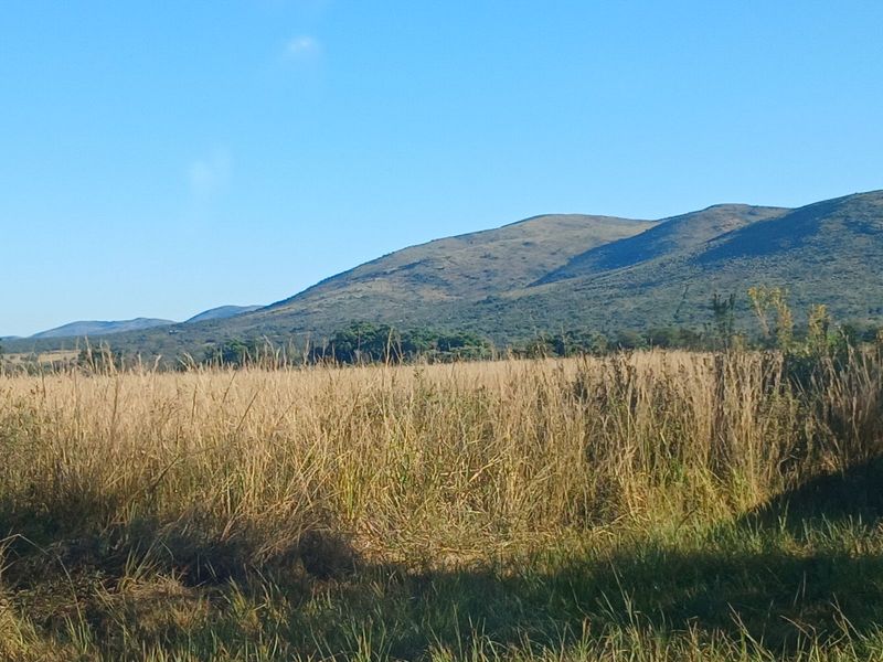 Farm For Sale in Modimolle Rural - Photo 2