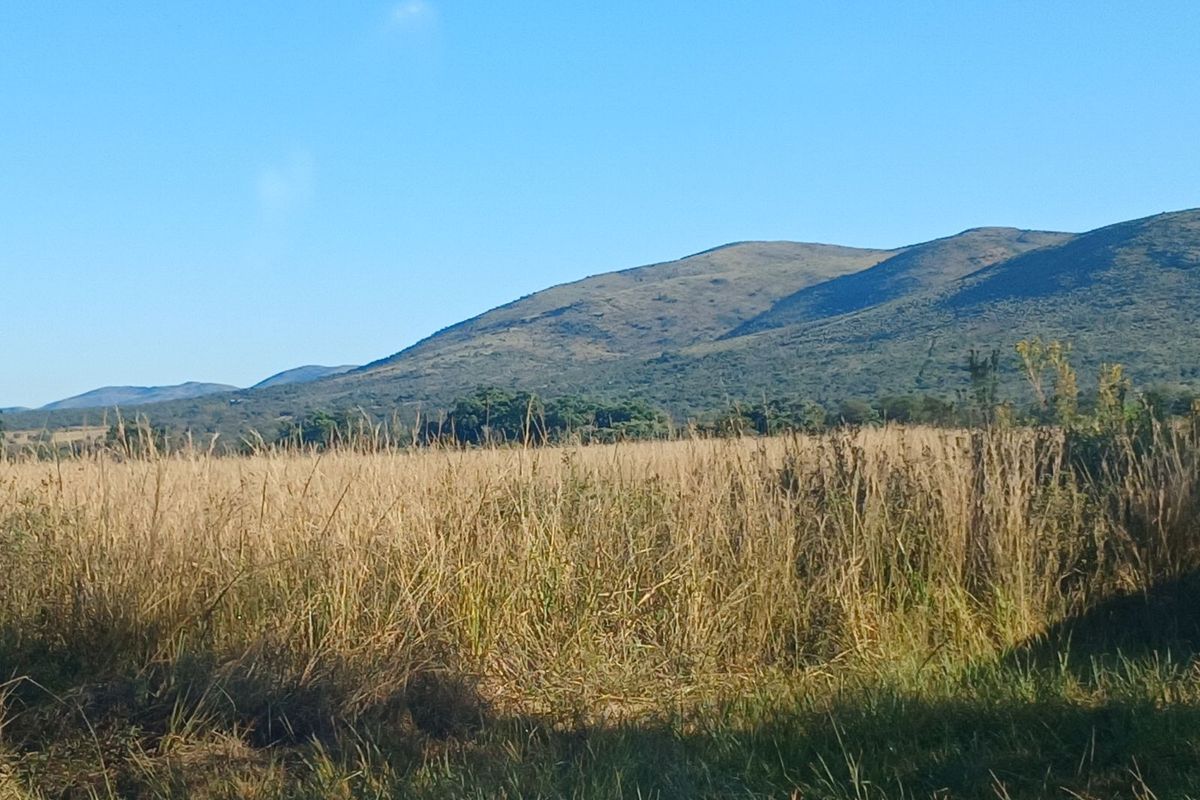 Farm For Sale in Modimolle Rural - Photo 2