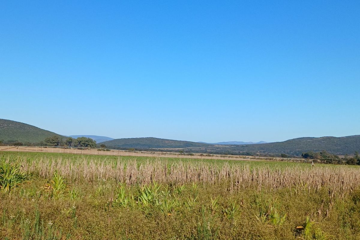 Farm For Sale in Modimolle Rural - Photo 4