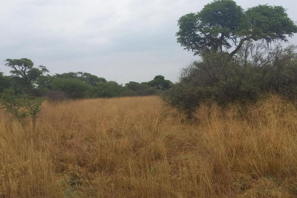 Vacant Land Residential For Sale in Kathu Central - Photo 3