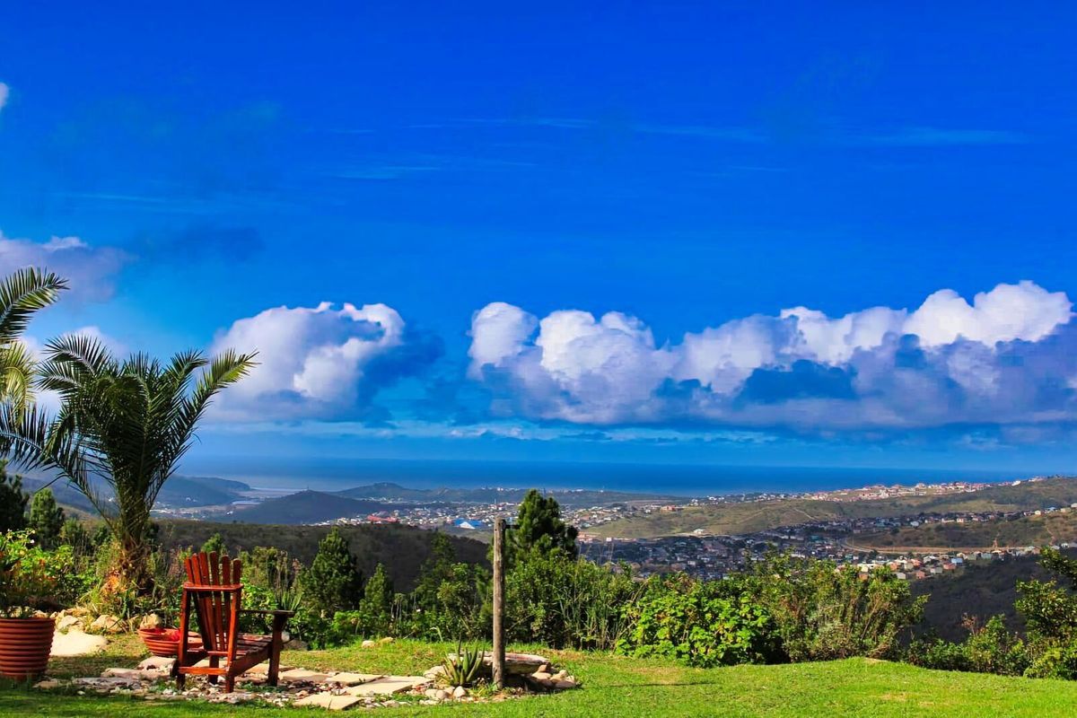 Farm For Sale in Rheeboksfontein - Photo 3