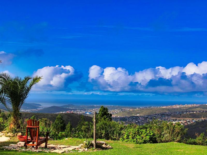 Farm For Sale in Rheeboksfontein - Photo 3