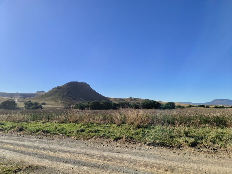 Farm For Sale in Newcastle Rural - Photo 8