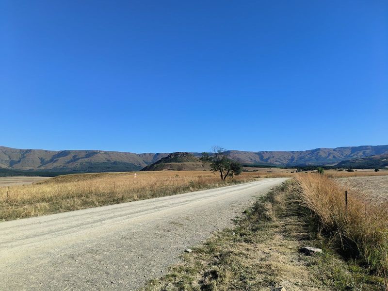 Farm For Sale in Newcastle Rural - Photo 5