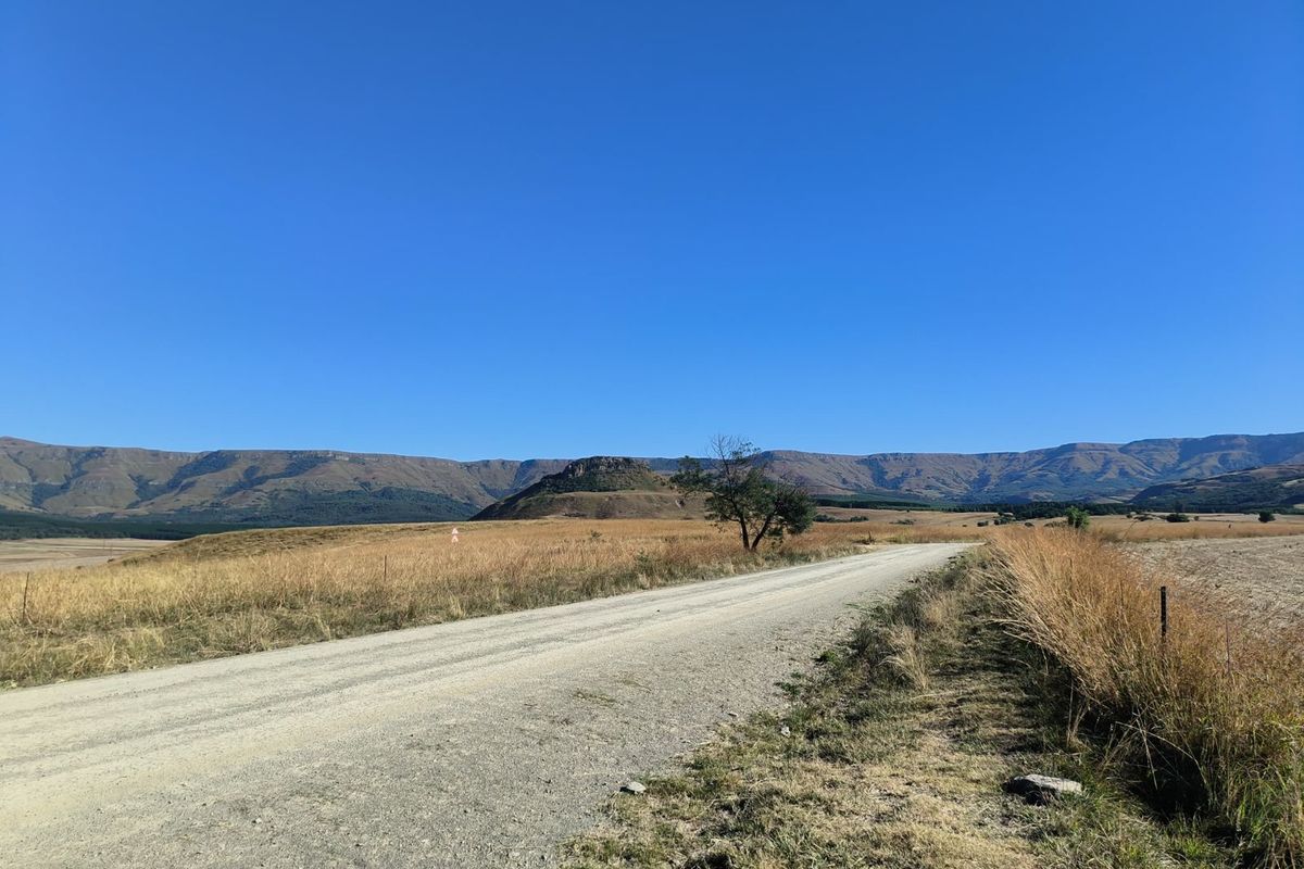 Farm For Sale in Newcastle Rural - Photo 5