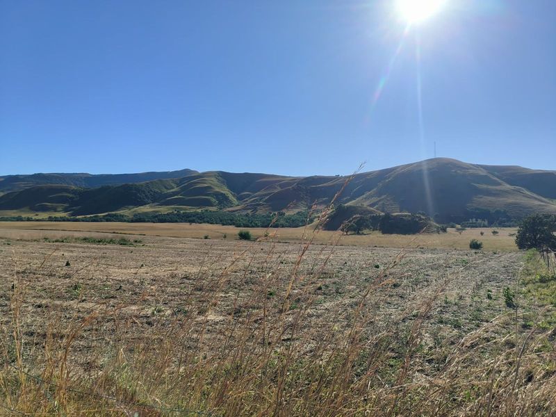 Farm For Sale in Newcastle Rural - Photo 3