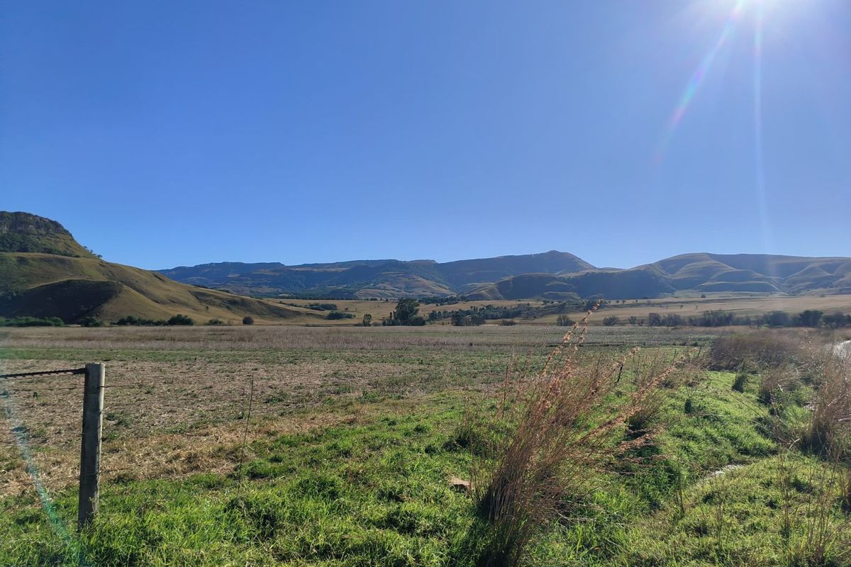 Farm For Sale in Newcastle Rural - Photo 2