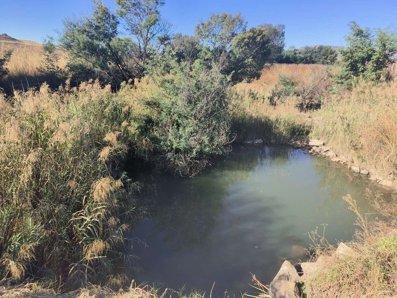 Farm For Sale in Newcastle Rural - Photo 4