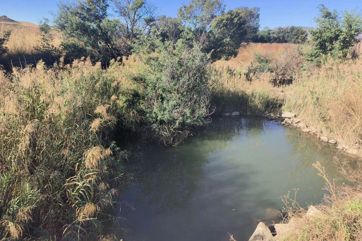 Farm For Sale in Newcastle Rural - Photo 4