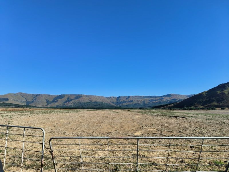 Farm For Sale in Newcastle Rural - Photo 10