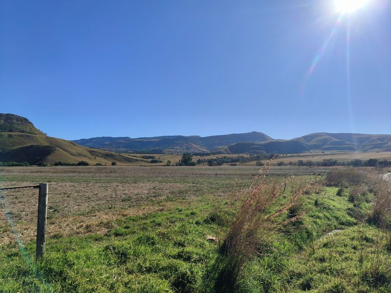 Farm For Sale in Newcastle Rural - Photo 9