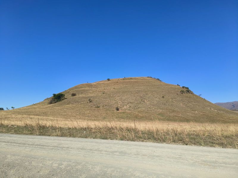 Farm For Sale in Newcastle Rural - Photo 7