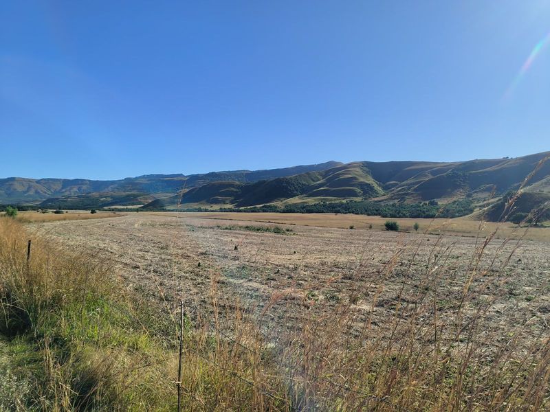 Farm For Sale in Newcastle Rural - Photo 6