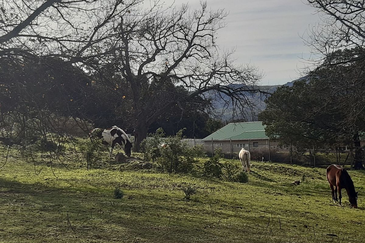 House For Sale in Grabouw Central - Photo 5