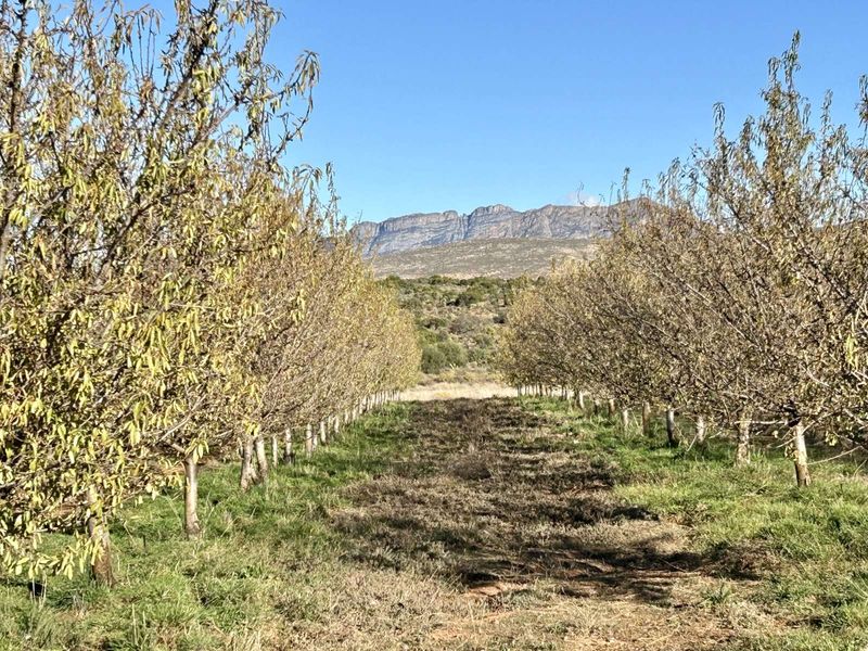 Farm For Sale in Oudtshoorn Rural - Photo 2