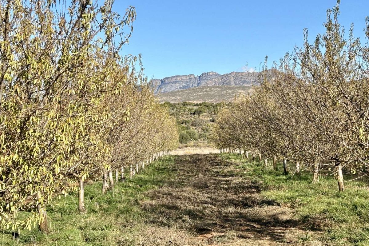 Farm For Sale in Oudtshoorn Rural - Photo 2