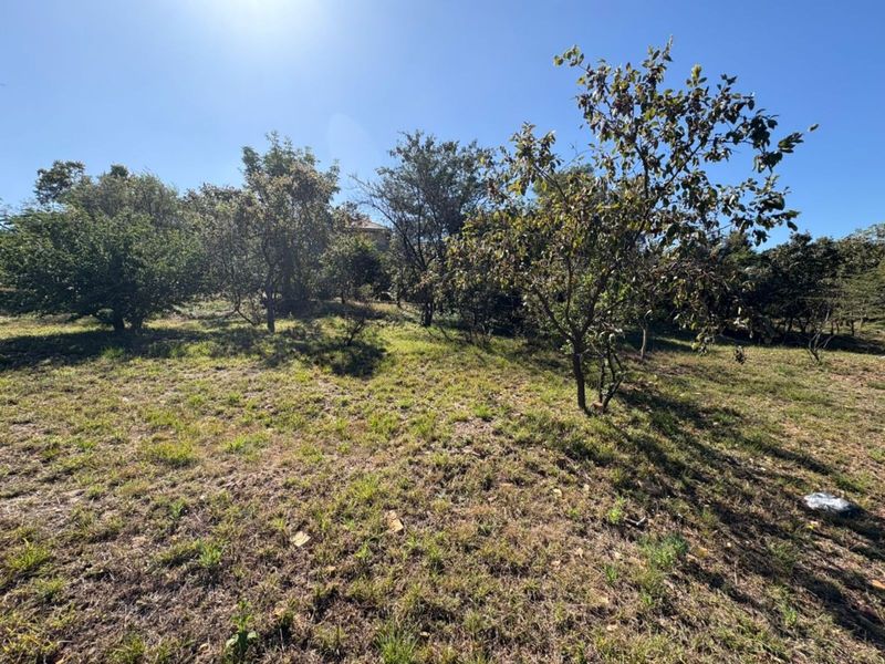 Vacant Land Residential For Sale in Bela-bela Ext 5 - Photo 10