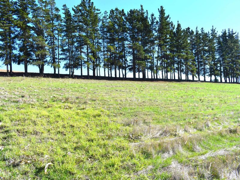 Vacant Land Residential For Sale in Villiersdorp Rural - Photo 6