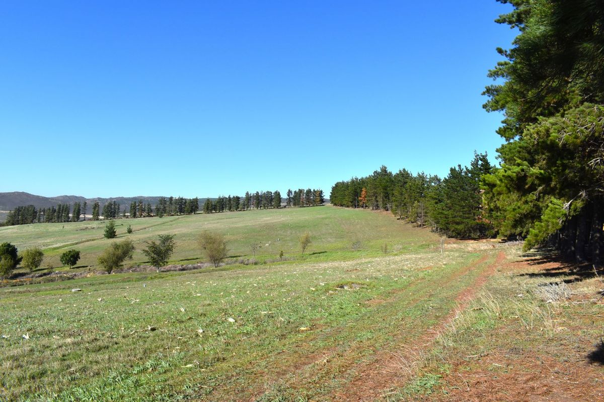 Vacant Land Residential For Sale in Villiersdorp Rural - Photo 4