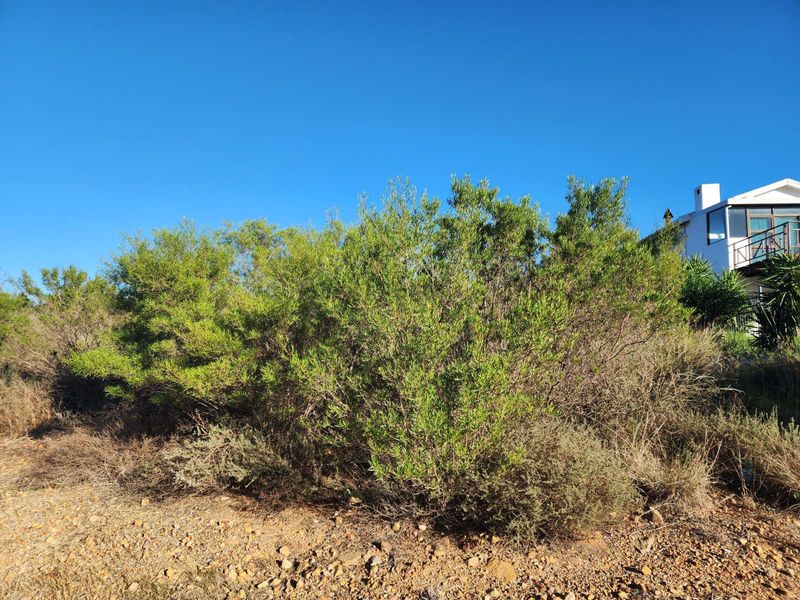 Vacant Land Residential For Sale in Ashton Central - Photo 8