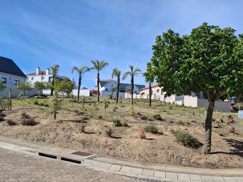 Vacant Land Residential For Sale in Mount Royal Golf Estate - Photo 10