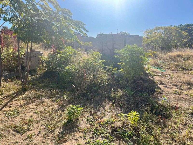 Vacant Land Residential For Sale in Emdo Park - Photo 4