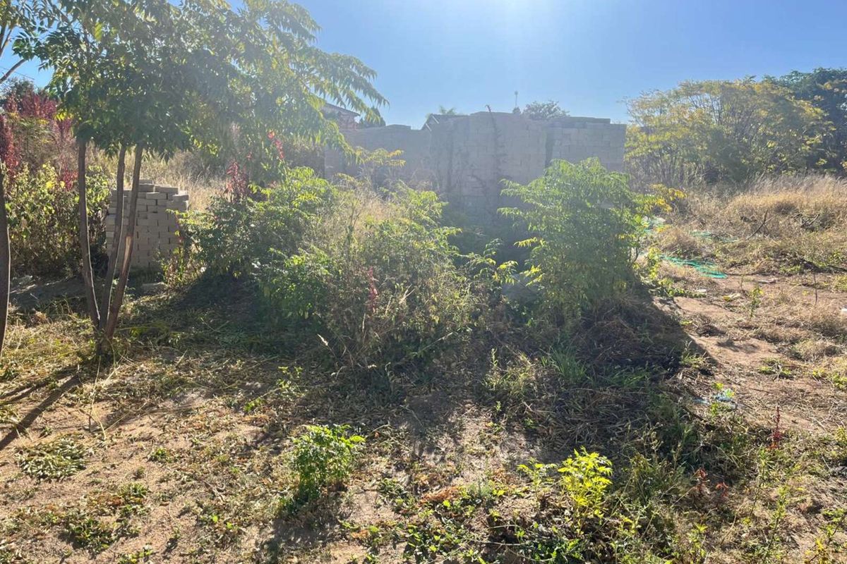 Vacant Land Residential For Sale in Emdo Park - Photo 4