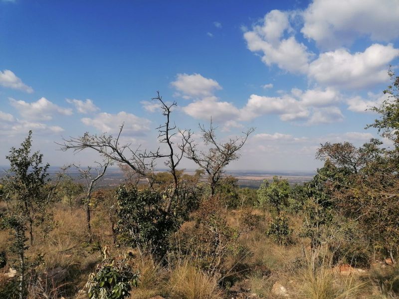 Vacant Land Residential For Sale in Euphoria Golf Estate - Photo 4