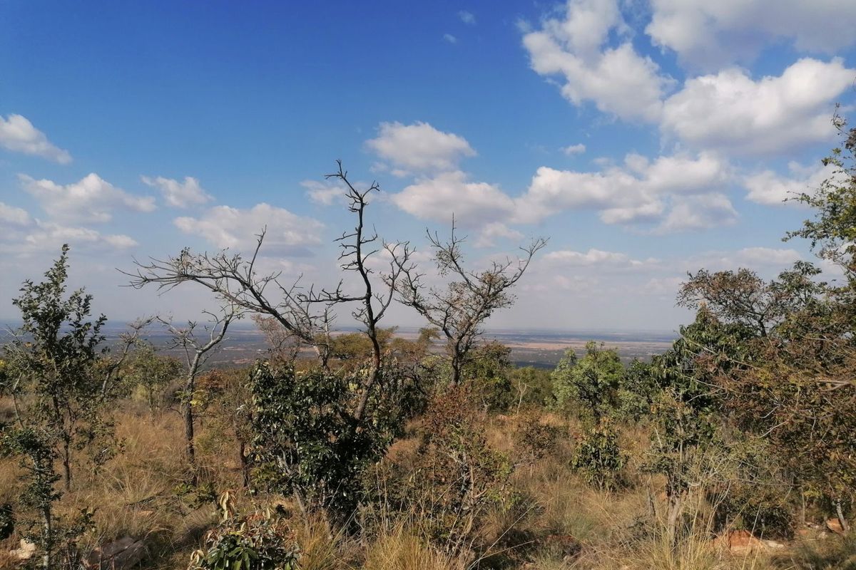 Vacant Land Residential For Sale in Euphoria Golf Estate - Photo 4