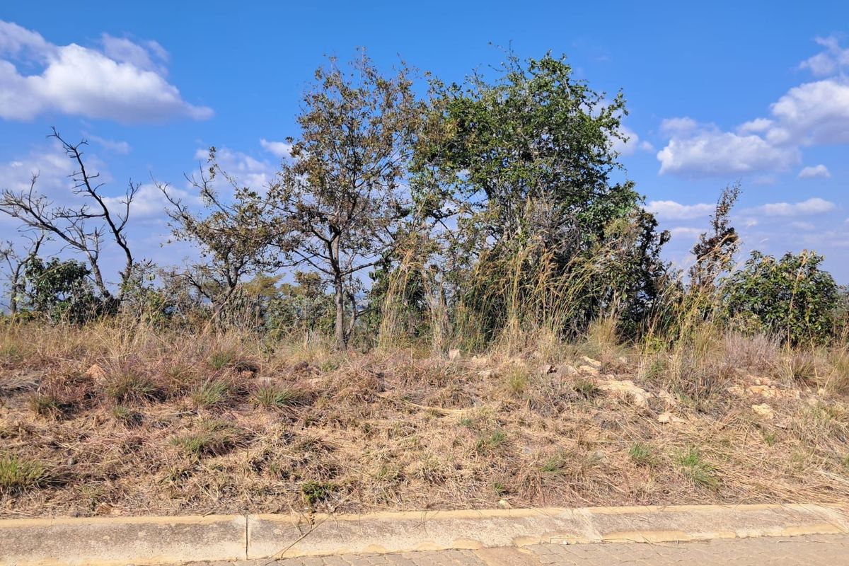 Vacant Land Residential For Sale in Euphoria Golf Estate - Photo 3